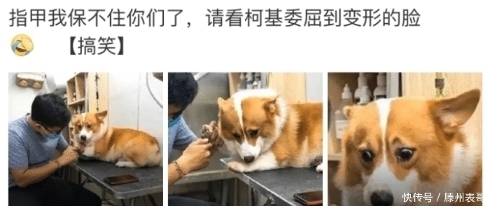 |发个段子想屏蔽家人,结果点成了家人可见!尴尬的抠出了三室一厅