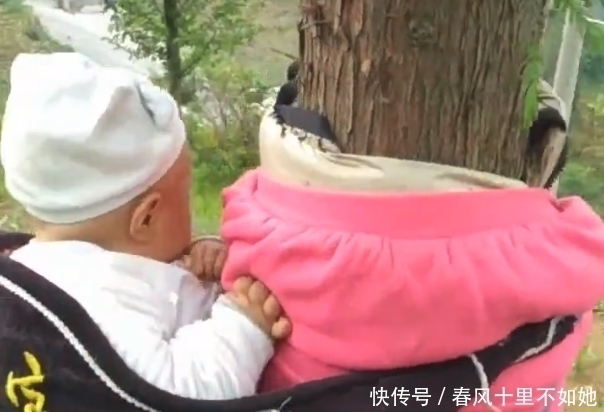 两个儿子|女子下地干活,宝宝就让“大树”帮忙带着,网友们看后:太聪明!