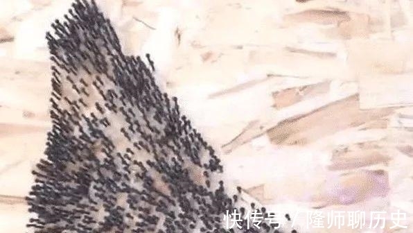 钉子|美术生又出来作妖了,同样的钉子,她玩出了花样!网友:秀儿你好