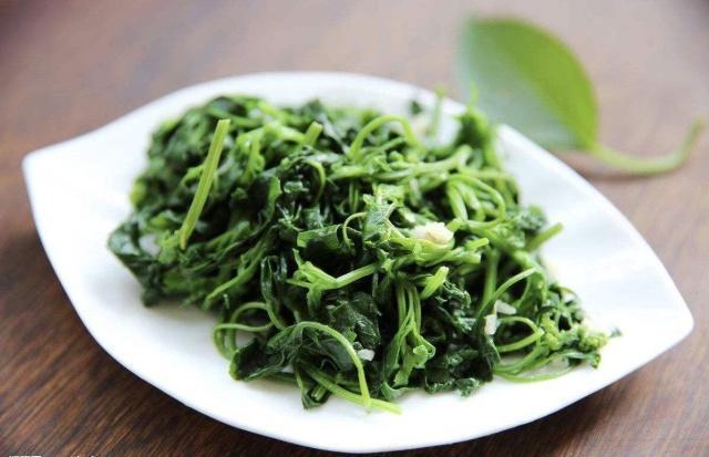 清热解毒|肝火过旺,眼干,口苦,多吃5种野菜,保肝护肝,清热解毒灭肝火