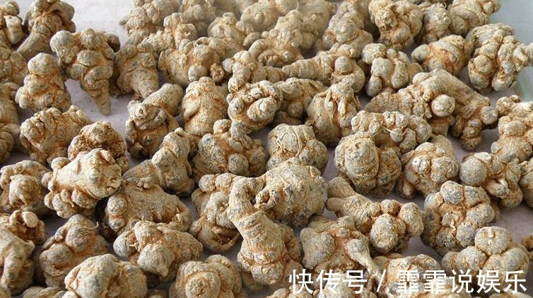 药用价值|农村一种野草,生长在水沟却很珍贵,药店里一斤90块