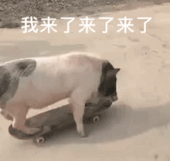 搞笑|微信搞笑表情包|有猪!我不说是谁