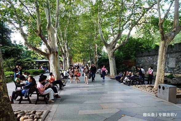 高楼层|10年后,“3-6层”将成为“黄金楼层”专家越到后面越吃香!