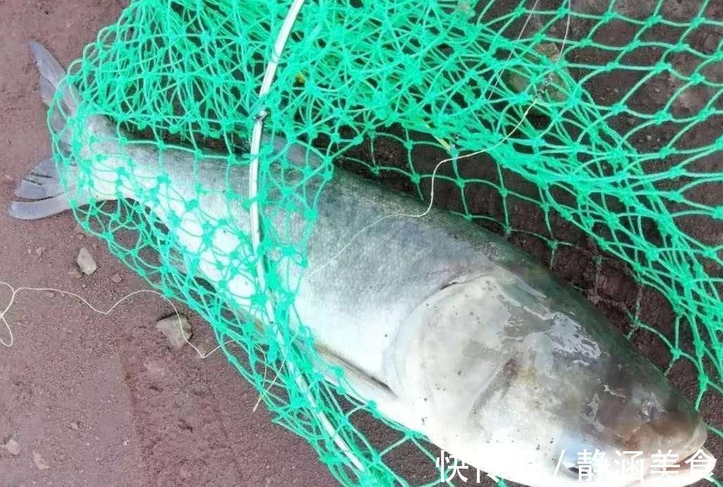 新手必看58年老钓鱼人告诉你野钓3大要素