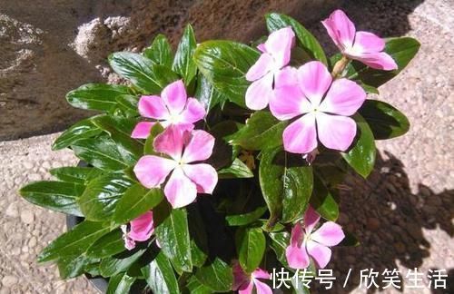 慢慢跑|跑步好处多,可为什么跑10分钟左右会很累?熬过后就轻松了