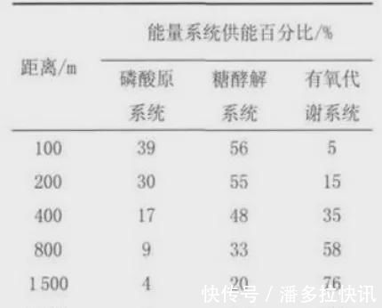 供能|作为跑者你知道跑步时身体是怎样供能的吗？揭秘人体三大供能系统