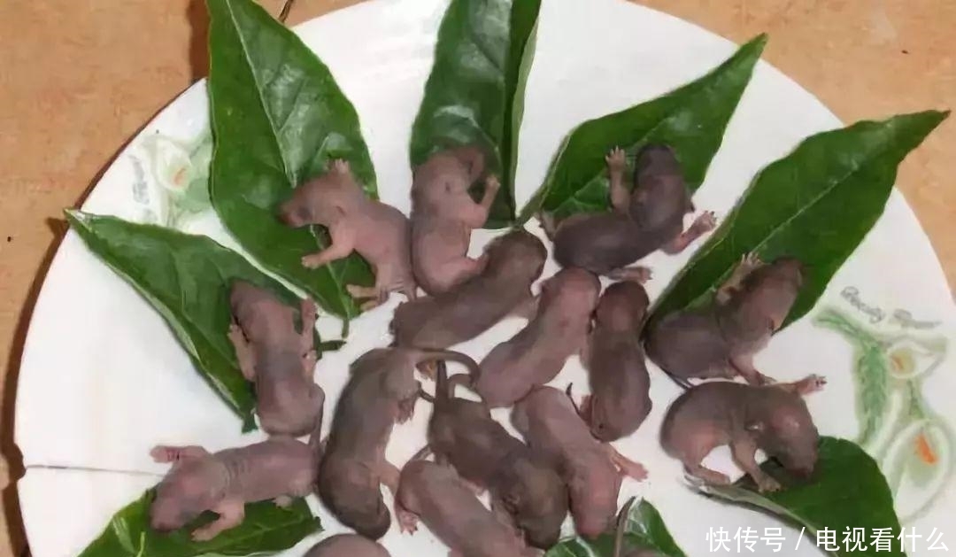 稀奇古怪|古籍中那些稀奇古怪的美食，敢吃最后一道的，都是我大哥