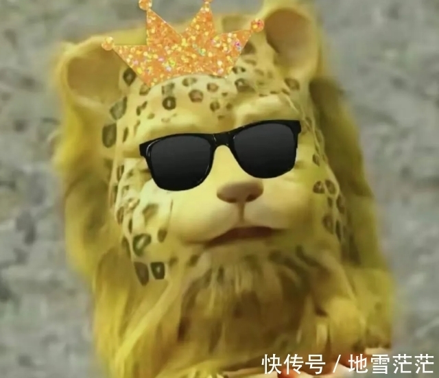 最近的朋友圈,跑进来一只豹子