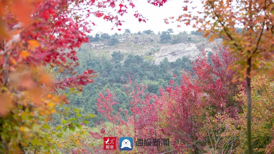 阿掖山|太红了！一块去看看！