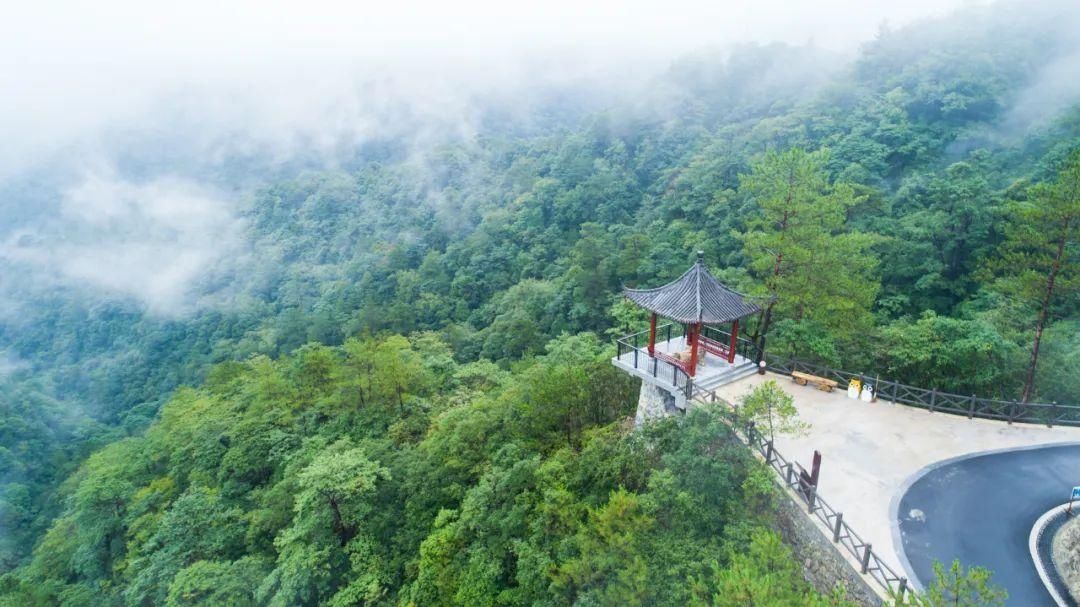 上帝偏爱的山水秘境！日出云海，观星赏花……这个浙南宝地是藏不住啦~