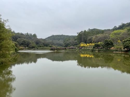 碧波湖边的桃花已经谢了