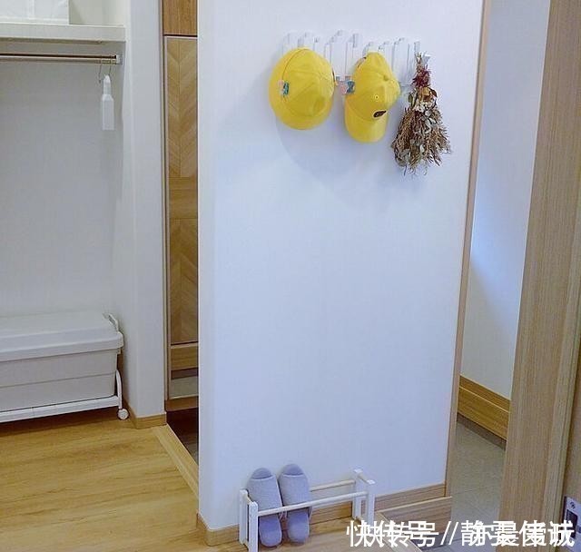 柜子|日本收纳达人的家,物品摆放井井有条,吸引众多人前来学习,佩服