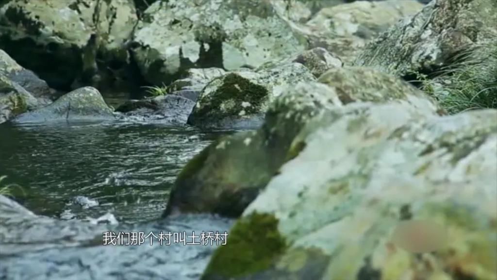  水韵|水韵风采的魅力，湘籍著名水彩画家蒋烨的追梦之路