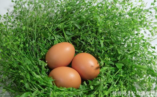 4种农村野菜，好吃又有营养，你吃过吗？