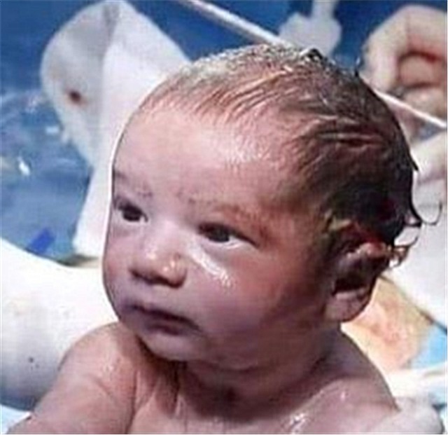宝宝|“懵圈宝宝”火了，带着一脸茫然的表情出生，网友：这哪像刚出生