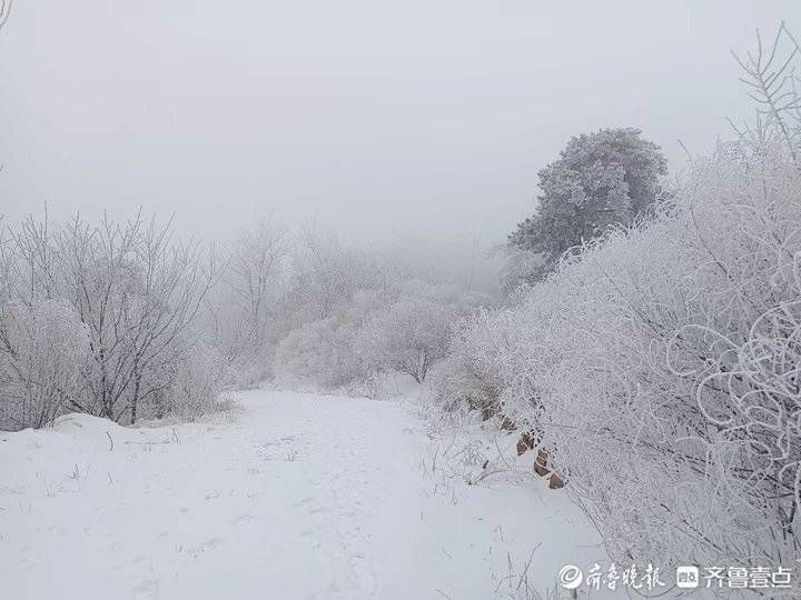 蔡长春|大美沂山，雾凇又起惊艳游人