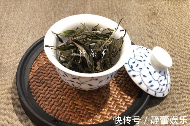 水浸出物&再好的白茶，也经受不了这三种错误的冲泡方式，明珠暗投！