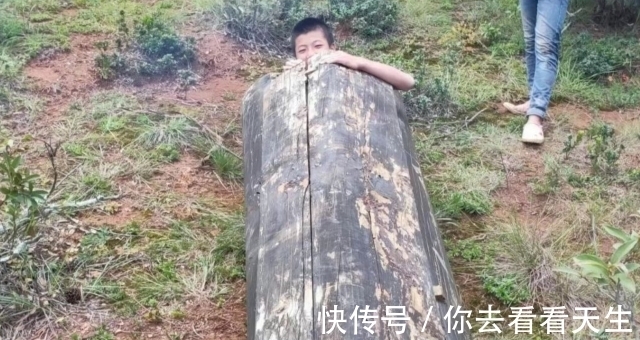 蠢事儿|“有些人真是身在福中不知福!”哈哈哈小小年纪就想见专业团队?