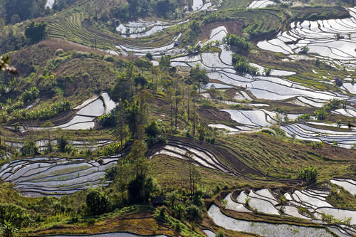 梯田|山势最险峻复杂、气势最恢宏壮观，大地雕塑最高典范，老虎嘴梯田