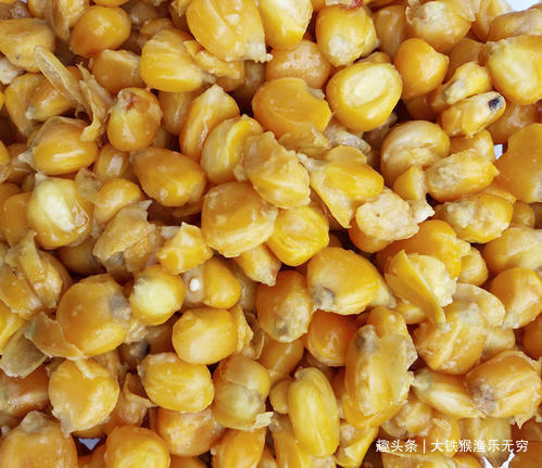 钓鱼|五种野钓大鱼的神饵,都藏在你家的厨房,老钓鱼人都在偷偷用