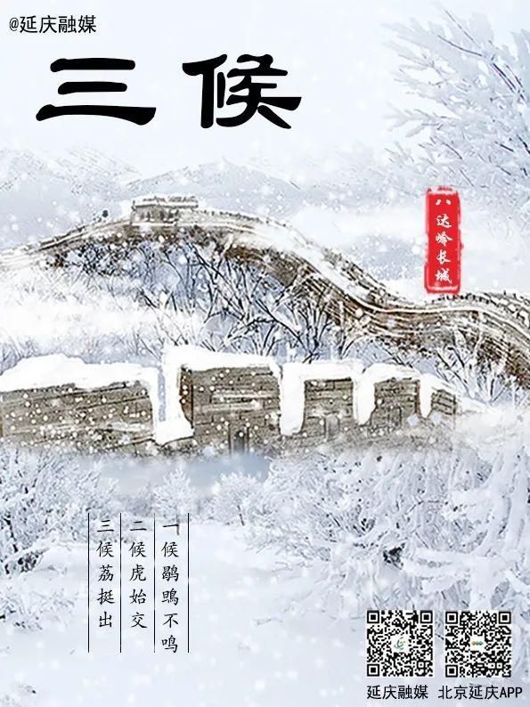 无惧|大雪至 祝君安！ 无惧远方冷秀，驰骋美丽延庆~