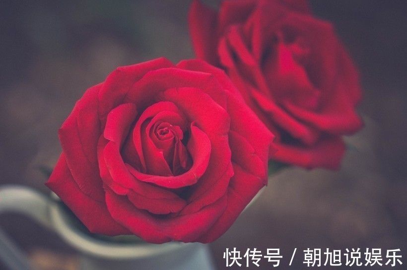 夫妻俩|这两个生肖做夫妻，是“上上等”婚姻，不离不弃不缺钱