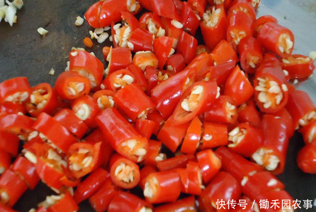 快速|手切辣椒,反被辣椒辣到了,如何才能快速止辣?