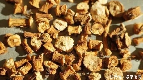 蒲公英,被称为“药草皇后”,请记住“6功效、7搭配、8禁忌”