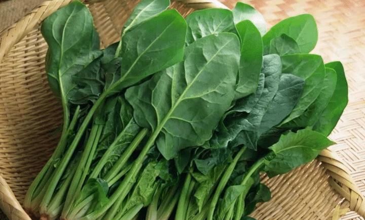 冬天,少吃白菜萝卜多吃它,做成面食,劲道爽滑又顶饱,真好吃