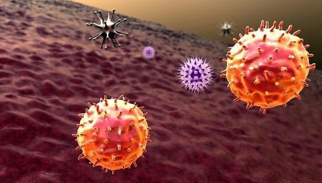 胖子|什么样的人更易患上癌症?胖子还是瘦子?看完后你就知道了!