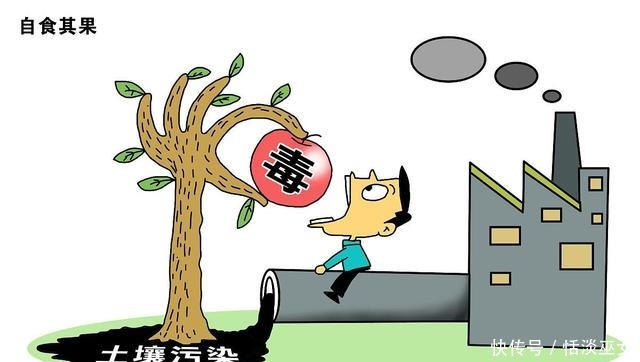 内河|城市内河的秘密!吃货们请管住嘴!垂钓的野生鱼最好不要食用