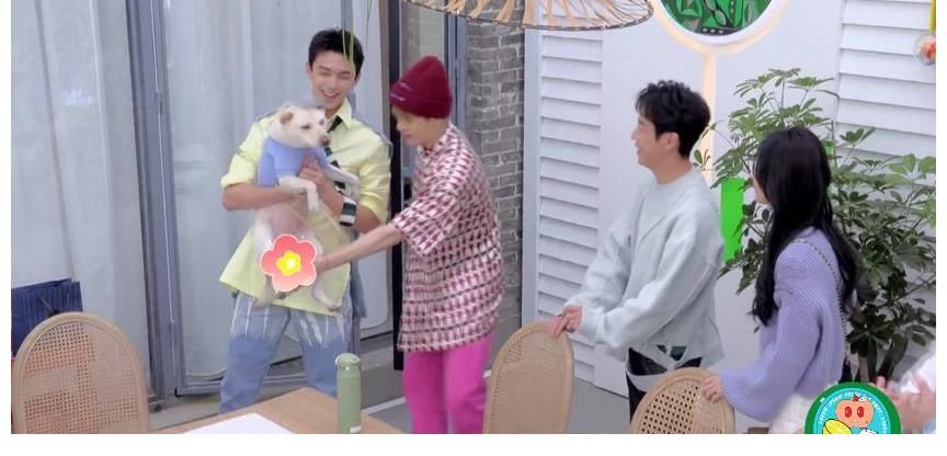 宝藏男孩|吴磊有多可爱?节目中模仿狗狗,逗得赵丽颖差点笑喷!