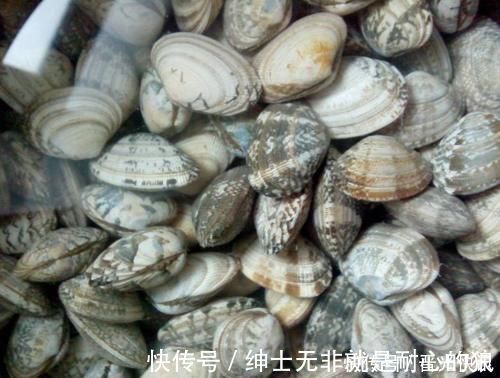 花蛤|吃花蛤时满嘴沙子?用这个办法,花蛤使劲吐沙,在家吃一样过瘾