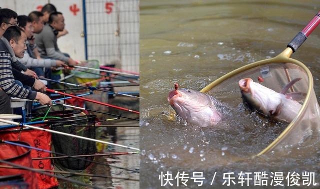 钓野生鱼和钓养殖鱼有什么不同垂钓野生鱼和养殖鱼的主要不同点