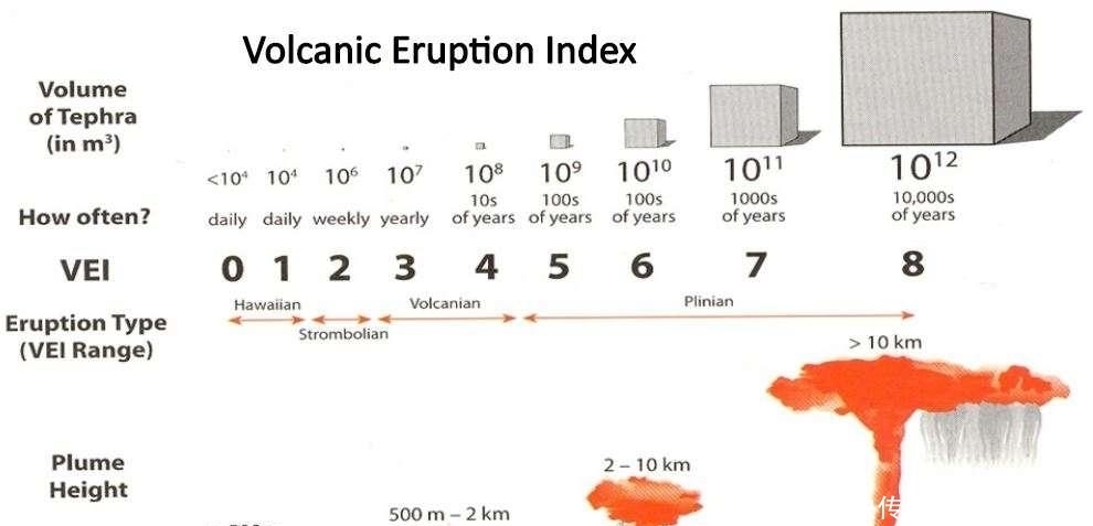 钱诚同享：2月24日股票异动指数上升260%多空强度净值为204只股（二）