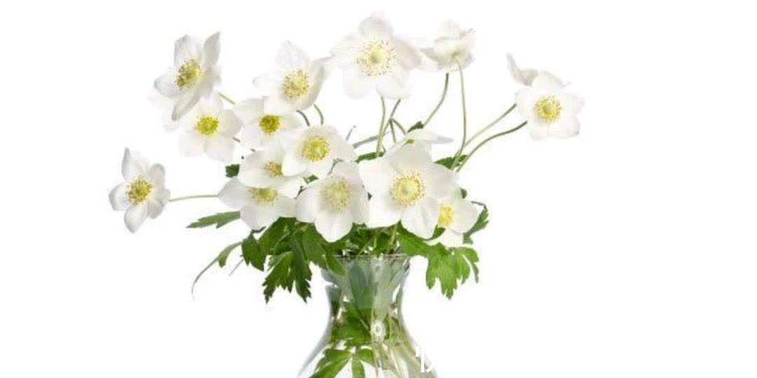 一生|人的一生,一切皆注定,天命不可违