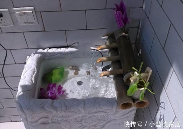 同意|打算在阳台砌鱼池,物业不同意,只好放个鱼缸,邻居看了赞不绝口