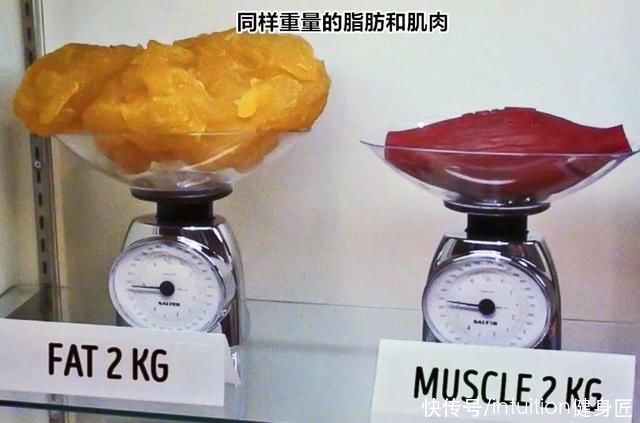 甘油三酯|减肥到底有多难有人轻而易举，为什么有人却越减越肥