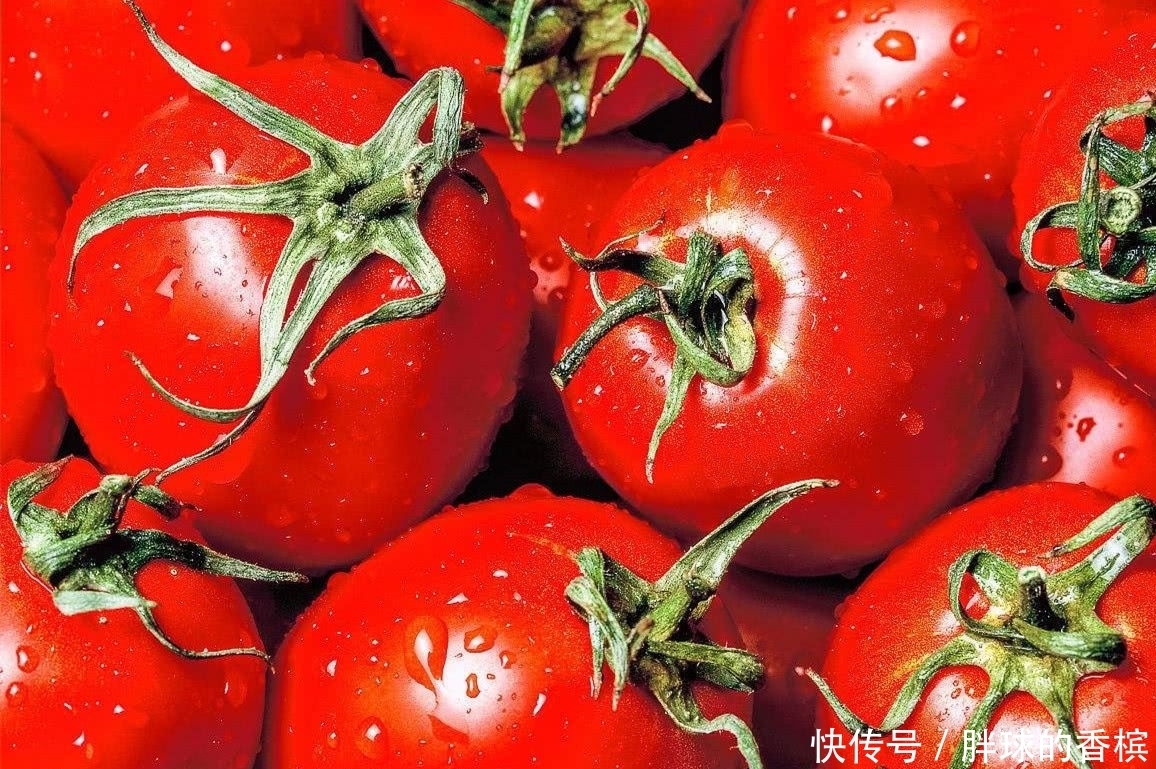 黑木耳|这些食物是血管的天然“守护神”,坚持每天吃一点,血栓不来扰