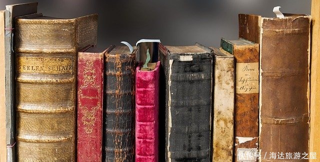 机会|不舒服的地方才有成长的机会。停止向上生长,才是最可怕的事