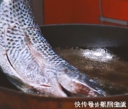 四大家鱼|唯一让中国吃货退却的鱼营养比甲鱼高,全身是宝,只要4元一斤