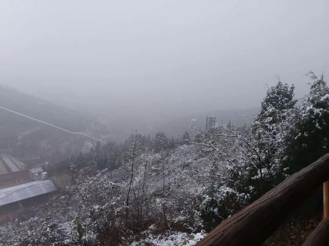 进来|大石崮森林公园喜提今冬初雪！点进来看雪景美图