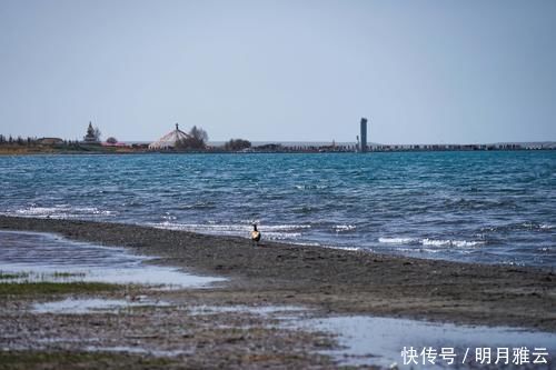 这片地处西北的广阔水域，是我国最大湖泊，曾经还有一座海军基地