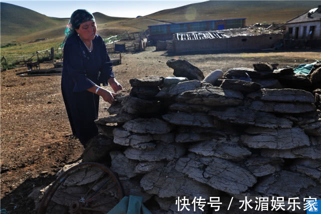 石河子|天山脚下哈萨克牧民，养二百只羊 年收入十二万，日子过的很红火