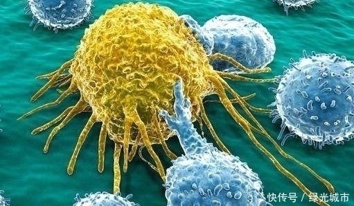 白血病|3种癌早期症状明显,晚期治愈几率较大,最好别轻易放弃