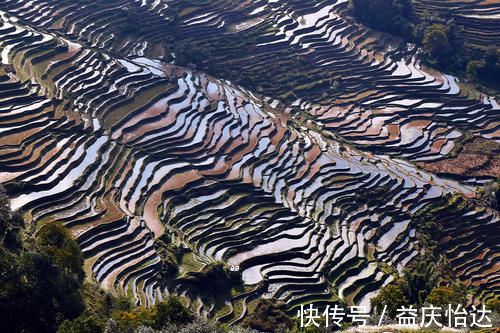 景观台|元阳坝达梯田景区，最佳日落观景点，可惜运气差了一点点