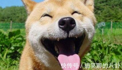 |搞笑段子:受不了医院工作要辞职,原因竟是以前是品酒师