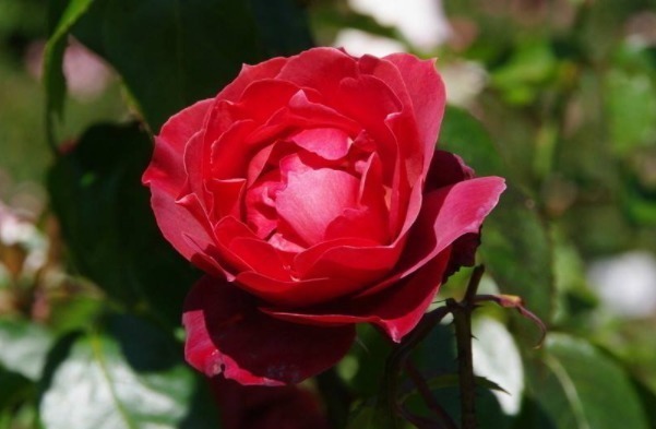 福运|发大财很简单!只需戒掉4个毛病,你将财运大开、福运升天!