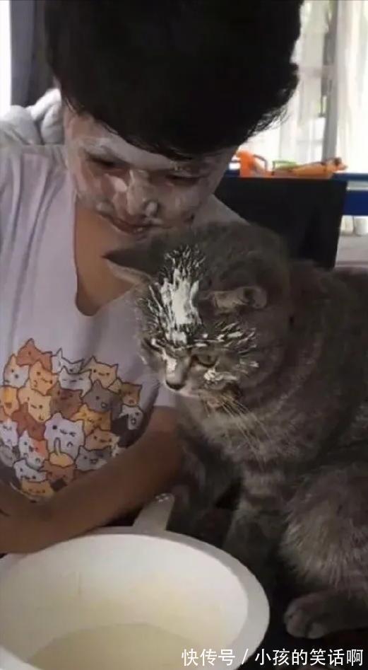 |在游乐场你见过哪些搞笑的设施?网友:这算吗,哈哈