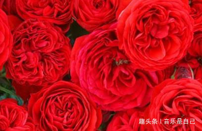 排毒|女性要排毒,多吃4种食物,保护视力,缓解便秘,好处多多!